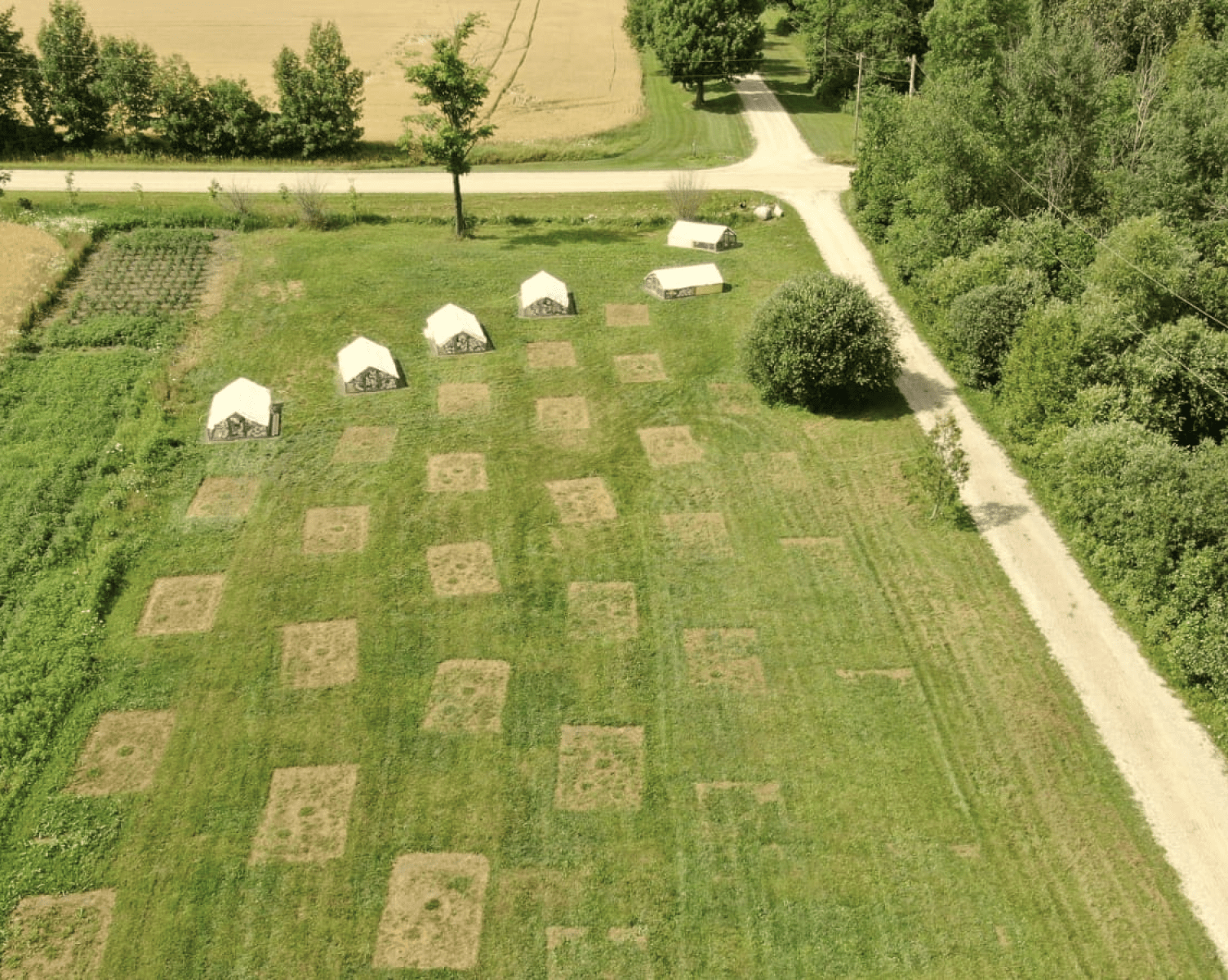 farm aerial image